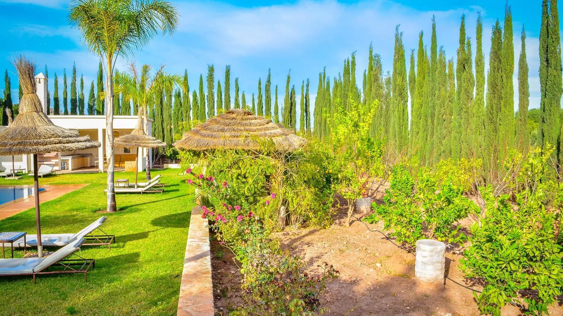 Precious Forrest Villa Essaouira 0*,